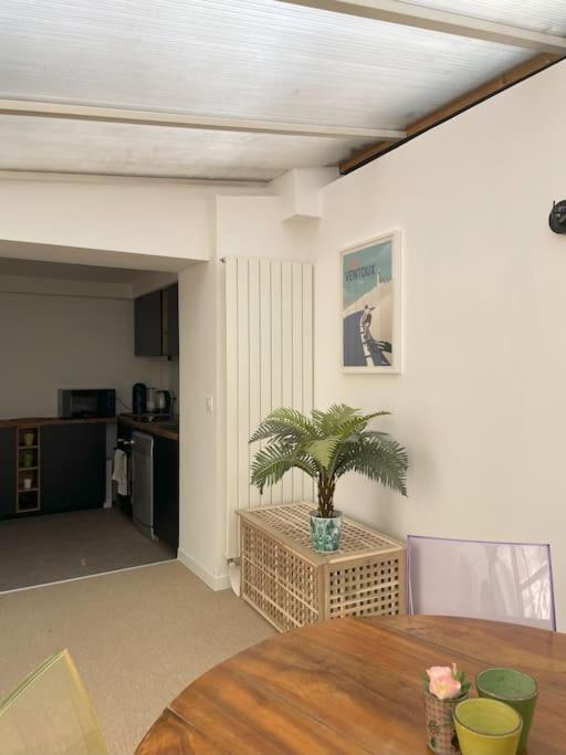Maison Avec Patio Proche Place Des Carmes Holiday home *