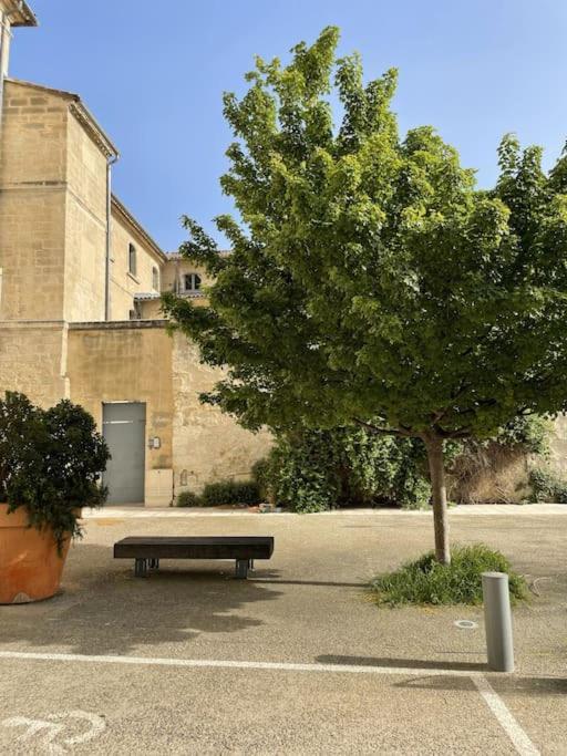 Maison Avec Patio Proche Place Des Carmes *