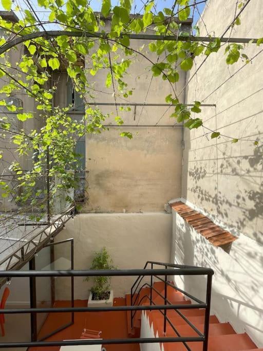 Maison Avec Patio Proche Place Des Carmes * Avignon